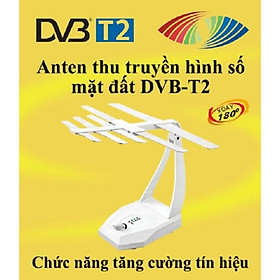 Mua Ăng-ten TV kỹ thuật số trong nhà, Anten DVB T2 Model TB105 HKD tại Dien Tu Hoang Thinh