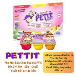 Pho mai sữa chua hoa quả petit